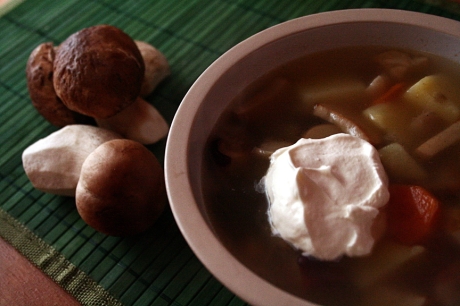 Суп из свежих белых грибов