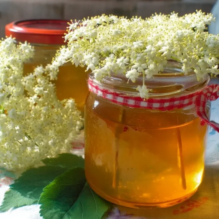 Holunderblütengelee mit Orangensaft