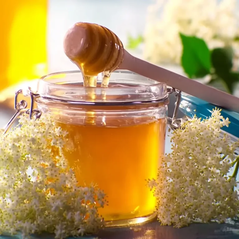 Holunderblütengelee nach Landfrauen Art